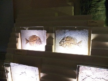 Venise 3 2013 106.JPG