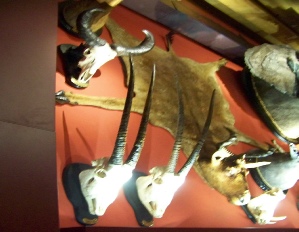 venise 1 2013 172.JPG