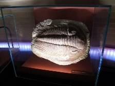 Venise 3 2013 071.JPG