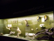 venise 1 2013 251.JPG