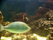 venise 1 2013 269.JPG