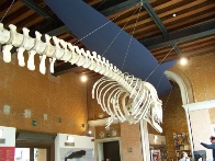 venise 1 2013 291.JPG