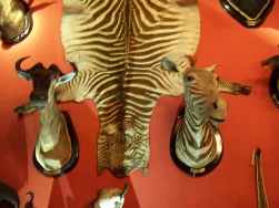 venise 1 2013 173.JPG