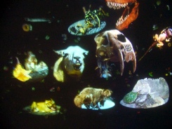 venise 1 2013 214.JPG