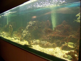 venise 1 2013 268.JPG