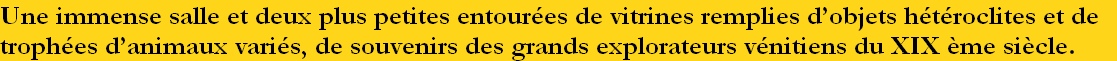 Une immense salle et deux plus petites entourées de vitrines remplies d’objets hétéroclites et de 
trophées d’animaux variés, de souvenirs des grands explorateurs vénitiens du XIX ème siècle.
